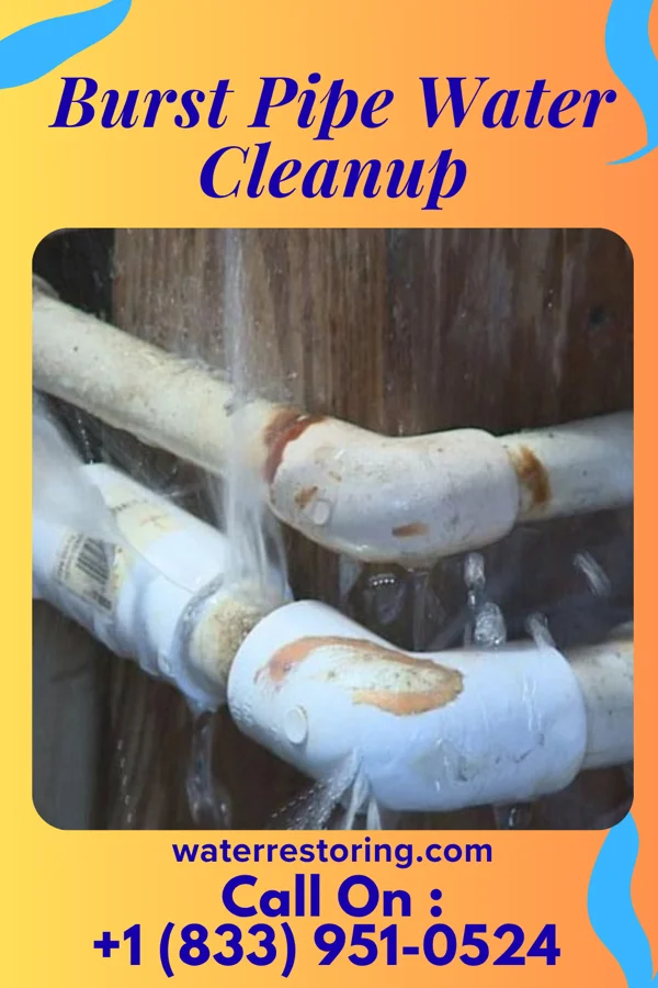 Burst Pipe Water Cleanup in North Wilkesboro, NC