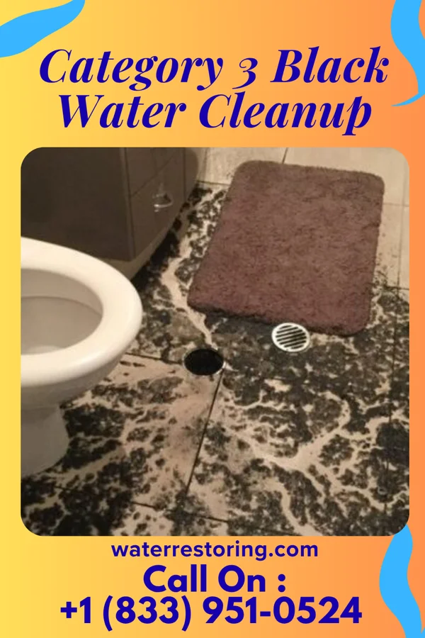 Category 3 Black Water Cleanup in North Wilkesboro, NC